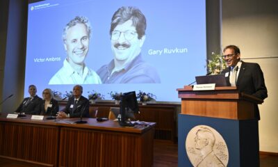 El Premio Nobel de Medicina o Fisiología 2024 es para Victor Ambros y Gary Ruvkun por el descubrimiento del microARN y su papel en la regulación génica postranscripcional, informó este lunes la Asamblea Nobel del Instituto Karolinska de Estocolmo. EFE