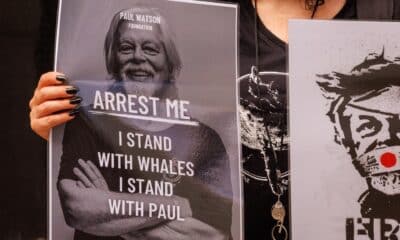 Manifestación en Bruselas para pedir la liberación del activista Paul Watson, en una imagen de archivo. EFE/EPA/OLIVIER MATTHYS