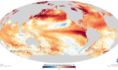 Un nuevo estudio de modelización muestra que el fenómeno de El Niño ha estado presente hace al menos 250 millones de años y a menudo ha sido de mayor magnitud que las oscilaciones que vemos hoy. Imagen: El Niño en agosto de 2023. Crédito: NOAA, mapa facilitado por la Universidad de Duke.