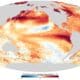 Un nuevo estudio de modelización muestra que el fenómeno de El Niño ha estado presente hace al menos 250 millones de años y a menudo ha sido de mayor magnitud que las oscilaciones que vemos hoy. Imagen: El Niño en agosto de 2023. Crédito: NOAA, mapa facilitado por la Universidad de Duke.