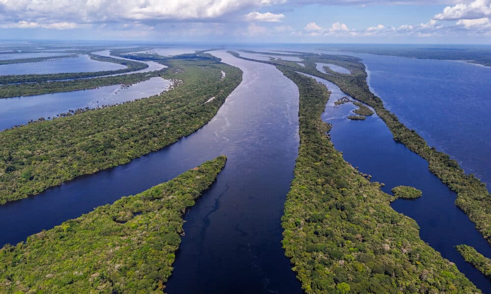 Fotografía de archivo que muestra una zona del Parque Nacional Anavilhanas, en el municipio de Novo Airão, estado de Amazonas (Brasil). EFE/Antonio Lacerda / ARCHIVO