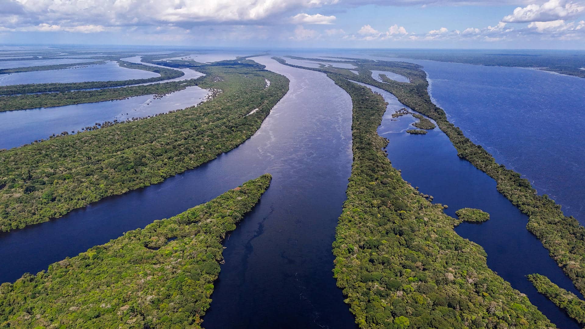 Fotografía de archivo que muestra una zona del Parque Nacional Anavilhanas, en el municipio de Novo Airão, estado de Amazonas (Brasil). EFE/Antonio Lacerda / ARCHIVO