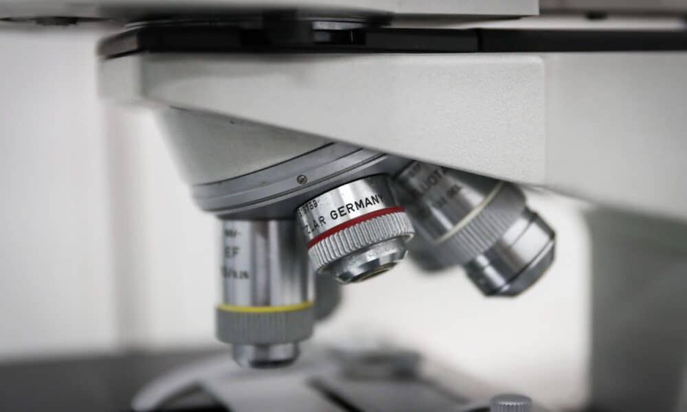 Vista de un microscopio en una laboratorio, en una fotografía de archivo. EFE/Raúl Martínez