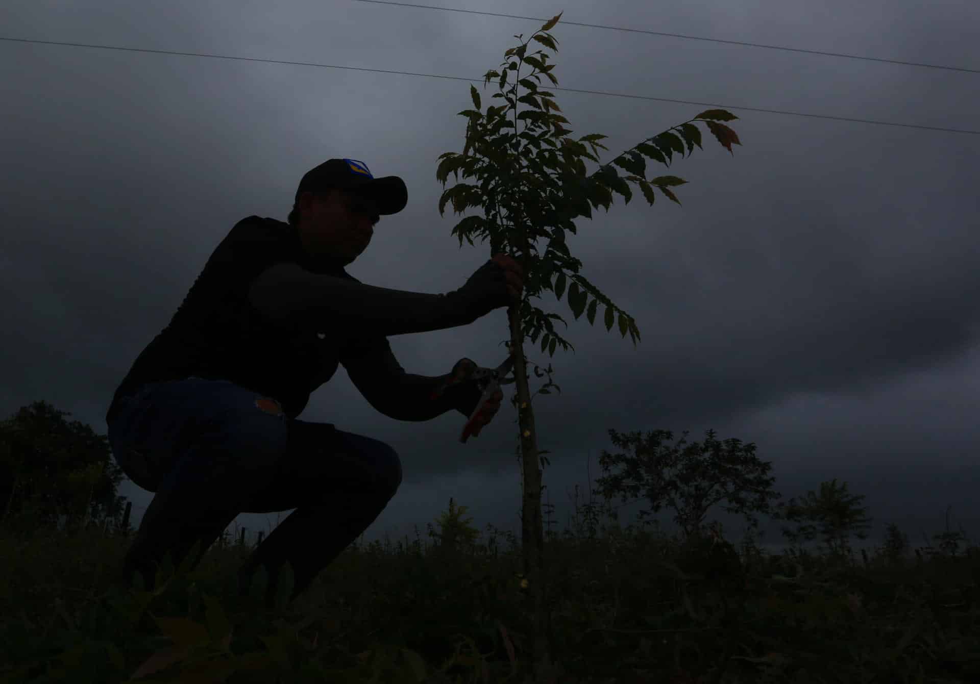 Entre enero de 2016 y septiembre de 2024 la ONU verificó 248 casos de asesinatos de defensores ambientales, de los cuales 220 eran hombres y 28 mujeres. Archivo. EFE/ Ernesto Guzmán