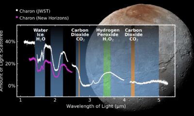 Imagen que muestra a Caronte, la mayor luna de Plutón, y en sobreimpresión algunas de las observaciones que muestra el estudio. Crédito: Silvia Protopapa (SwRI), Ian Wong (STScl)