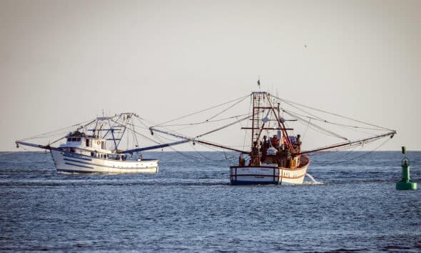 Fotografía cedida este jueves por la Secretaría de Agricultura y Desarrollo Rural, donde se observa a barcos camaroneros en la ciudad Mazatlán, en el estado de Sinaloa (México). EFE/Secretaría de Agricultura y Desarrollo Rural/SOLO USO EDITORIAL/SOLO DISPONIBLE PARA ILUSTRAR LA NOTICIA QUE ACOMPAÑA (CRÉDITO OBLIGATORIO)