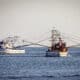 Fotografía cedida este jueves por la Secretaría de Agricultura y Desarrollo Rural, donde se observa a barcos camaroneros en la ciudad Mazatlán, en el estado de Sinaloa (México). EFE/Secretaría de Agricultura y Desarrollo Rural/SOLO USO EDITORIAL/SOLO DISPONIBLE PARA ILUSTRAR LA NOTICIA QUE ACOMPAÑA (CRÉDITO OBLIGATORIO)