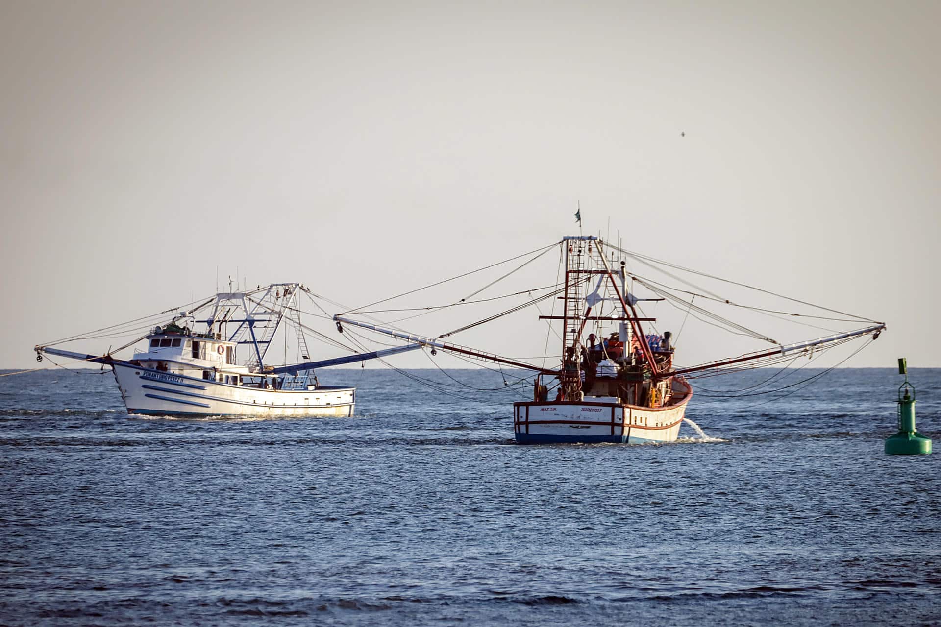 Fotografía cedida este jueves por la Secretaría de Agricultura y Desarrollo Rural, donde se observa a barcos camaroneros en la ciudad Mazatlán, en el estado de Sinaloa (México). EFE/Secretaría de Agricultura y Desarrollo Rural/SOLO USO EDITORIAL/SOLO DISPONIBLE PARA ILUSTRAR LA NOTICIA QUE ACOMPAÑA (CRÉDITO OBLIGATORIO)