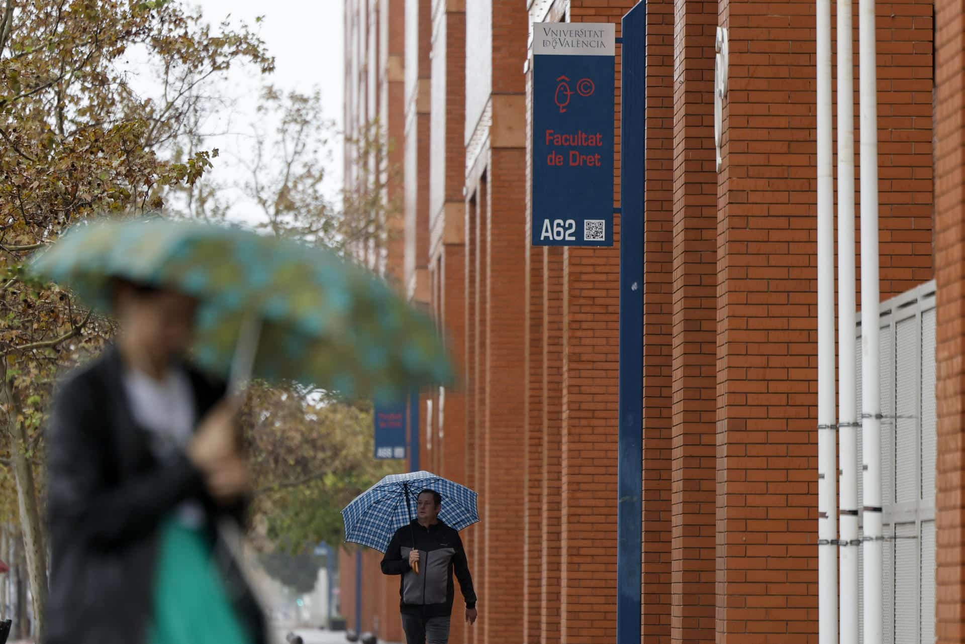 Vista general del campus de Tarongers de la Universitat de Valencia que ha suspendido las clases de hoy martes debido a las lluvias torrenciales que afectan a la Comunitat Valenciana, y especialmente a la provincia de Valencia, en la que se ha establecido el aviso rojo. EFE/Biel Aliño