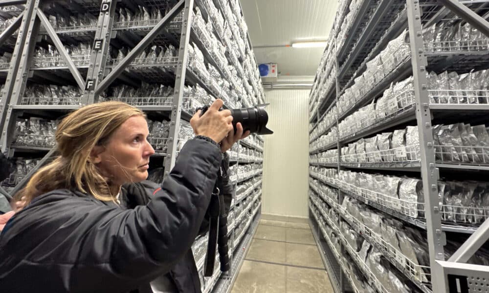 Una mujer le toma fotografías a semillas conservadas producto de una investigación de la Alianza de Bioversity International y el CIAT, en Palmira (Colombia). EFE/ Mario Baos