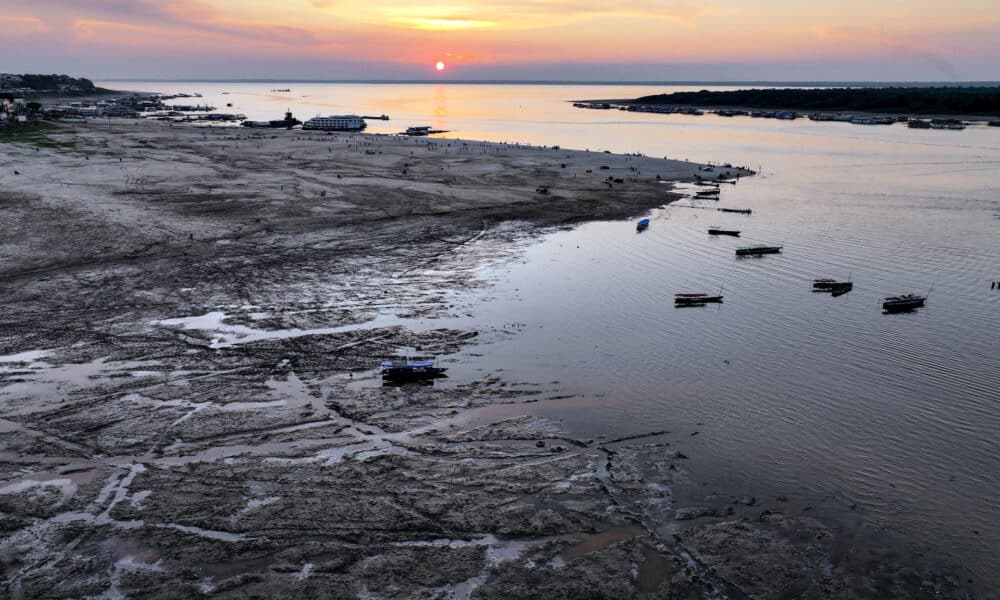 Fotografía fechada el 22 de agosto de 2024 cedida por WWF, que muestra una área en la Amazonía brasileña. EFE/ Adriano Gambarani/ WWF/