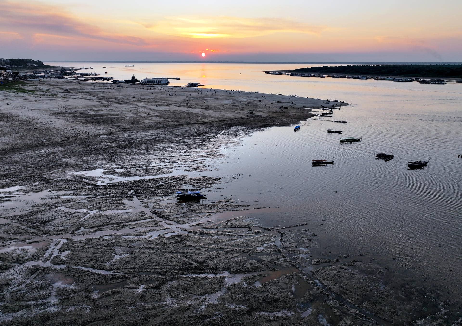 Fotografía fechada el 22 de agosto de 2024 cedida por WWF, que muestra una área en la Amazonía brasileña. EFE/ Adriano Gambarani/ WWF/