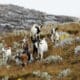 Fotografía de archivo del 29 de noviembre de 2023 de un grupo de cabras en el páramo El Almorzadero, en Santander (Colombia). EFE/ Carlos Ortega