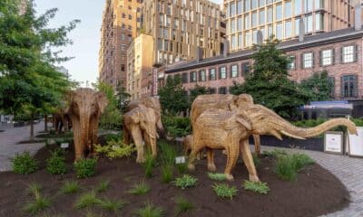 Fotografía sin fecha específica, cedida por Mark Warne, muestra la instalación de elefantes indios de la exposición 'The Great Elephant Migration', durante su inauguración en Nueva York (EE.UU.). EFE/ Mark Warne