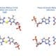 Un equipo internacional de investigadores liderado por la Universidad de Granada (UGR) ha logrado crear moléculas híbridas de ADN con iones de plata en su interior, un avance que ofrece nuevas posibilidades para la nanociencia y la biomedicina por la mayor estabilidad de los híbridos ADN-plata. Fotografía facilitada por la UGR. EFE