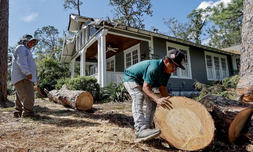 Ángel Sánchez (derecha) y Miguel García (izquierda) cortan un pino caído que dañó una casa después de que el huracán Helene arrasara Valdosta, Georgia, EE. UU., el 30 de septiembre de 2024. EFE/Erik S. Menor