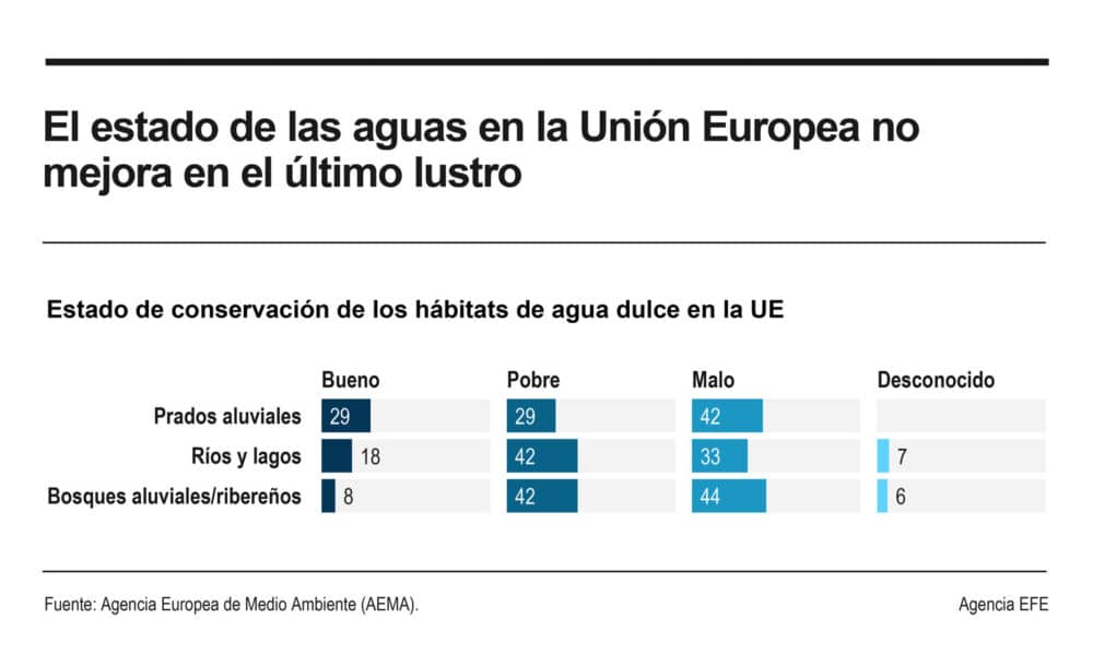 El estado de las aguas en la Unión Europea (UE) no ha mejorado en el último lustro y está lejos de cumplir los objetivos marcados por la Directiva Marco del Agua comunitaria para 2027, advirtió este martes la Agencia Europea de Medio Ambiente (AEMA). EFE