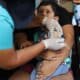 Fotografía de archivo de un niño recibe una vacuna contra el sarampión, en Lima (Perú). EFE/ Paolo Aguilar