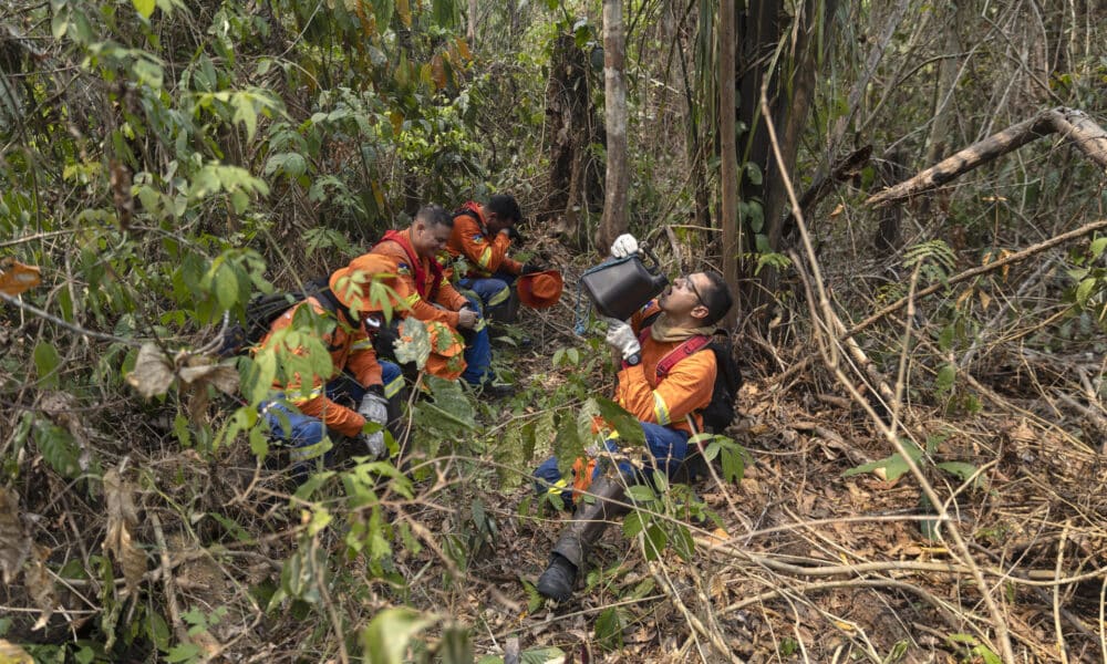 Fotografía de archivo de bomberos mientras se hidratan durante un recorrido para apagar incendios en varias áreas quemadas del Parque Estatal Guajará Mirim en la ciudad de Nova Mamoré (Brasil). EFE/ Isaac Fontana