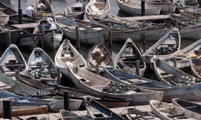 Foto archivo. Vista de las pequeñas embarcaciones de pesca tradiconal que se utilizan en Mauritania, conocidas como "cayucos", en el puerto artesanal de Nuadibú en las que los inmigrantes, principalmente de Guinea y Mali, intentan su aventura de acceder a las islas canarias. EFE/Ángel Medina G.