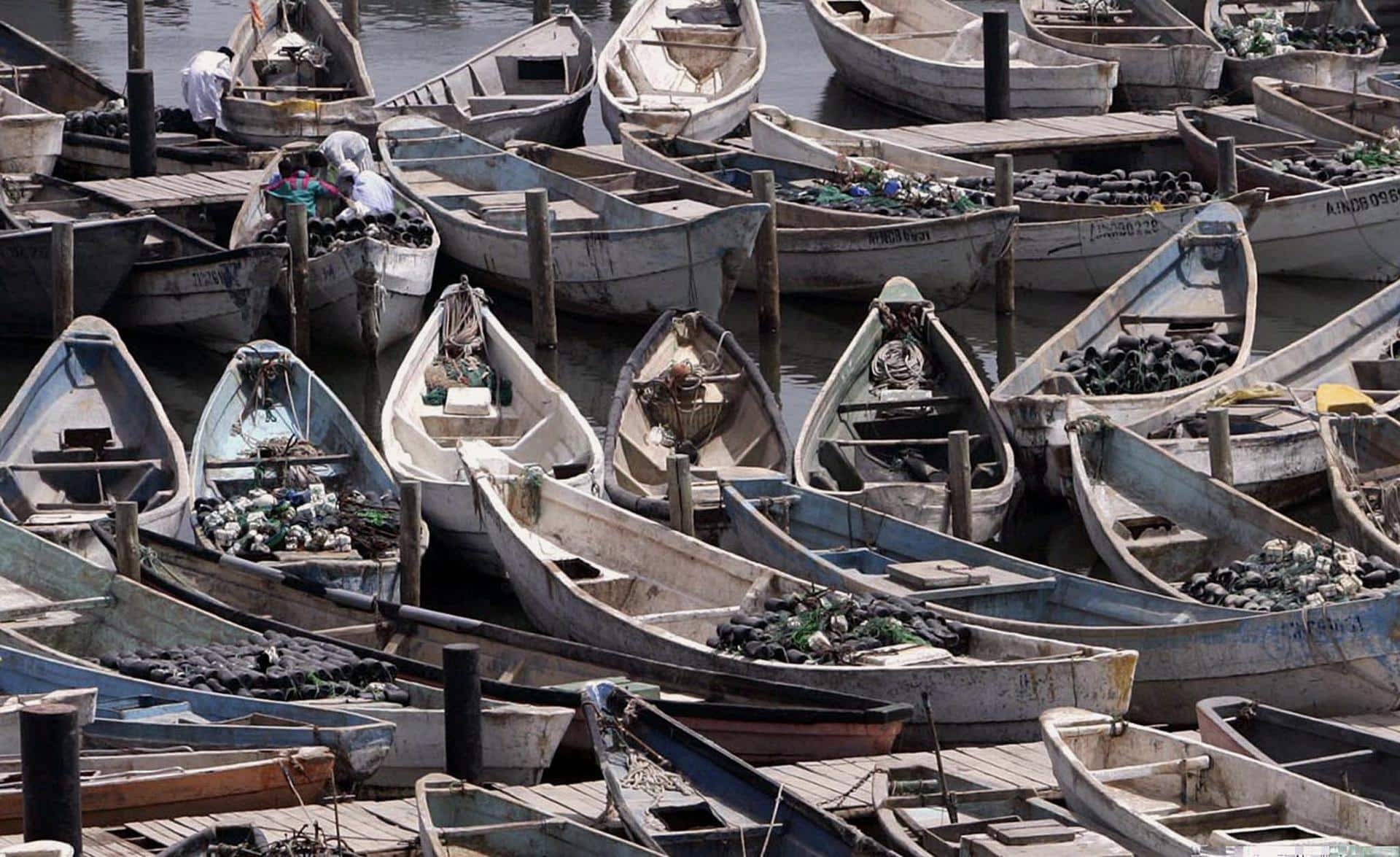 Foto archivo. Vista de las pequeñas embarcaciones de pesca tradiconal que se utilizan en Mauritania, conocidas como "cayucos", en el puerto artesanal de Nuadibú en las que los inmigrantes, principalmente de Guinea y Mali, intentan su aventura de acceder a las islas canarias. EFE/Ángel Medina G.