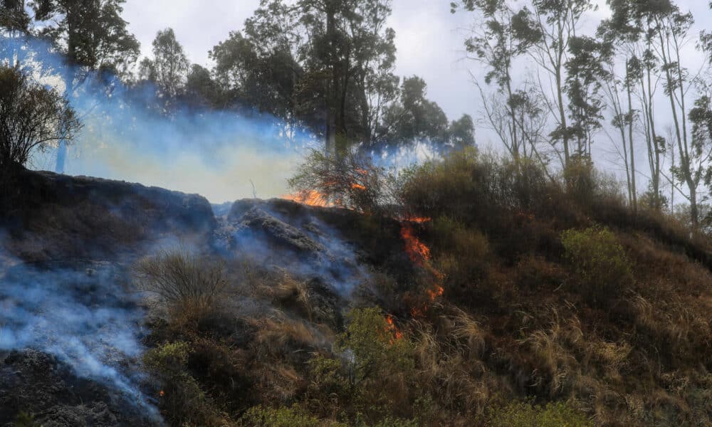 Fotografía de un incendio forestal en Quito (Ecuador). .Archivo EFE/José Jácome