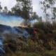 Fotografía de un incendio forestal en Quito (Ecuador). .Archivo EFE/José Jácome