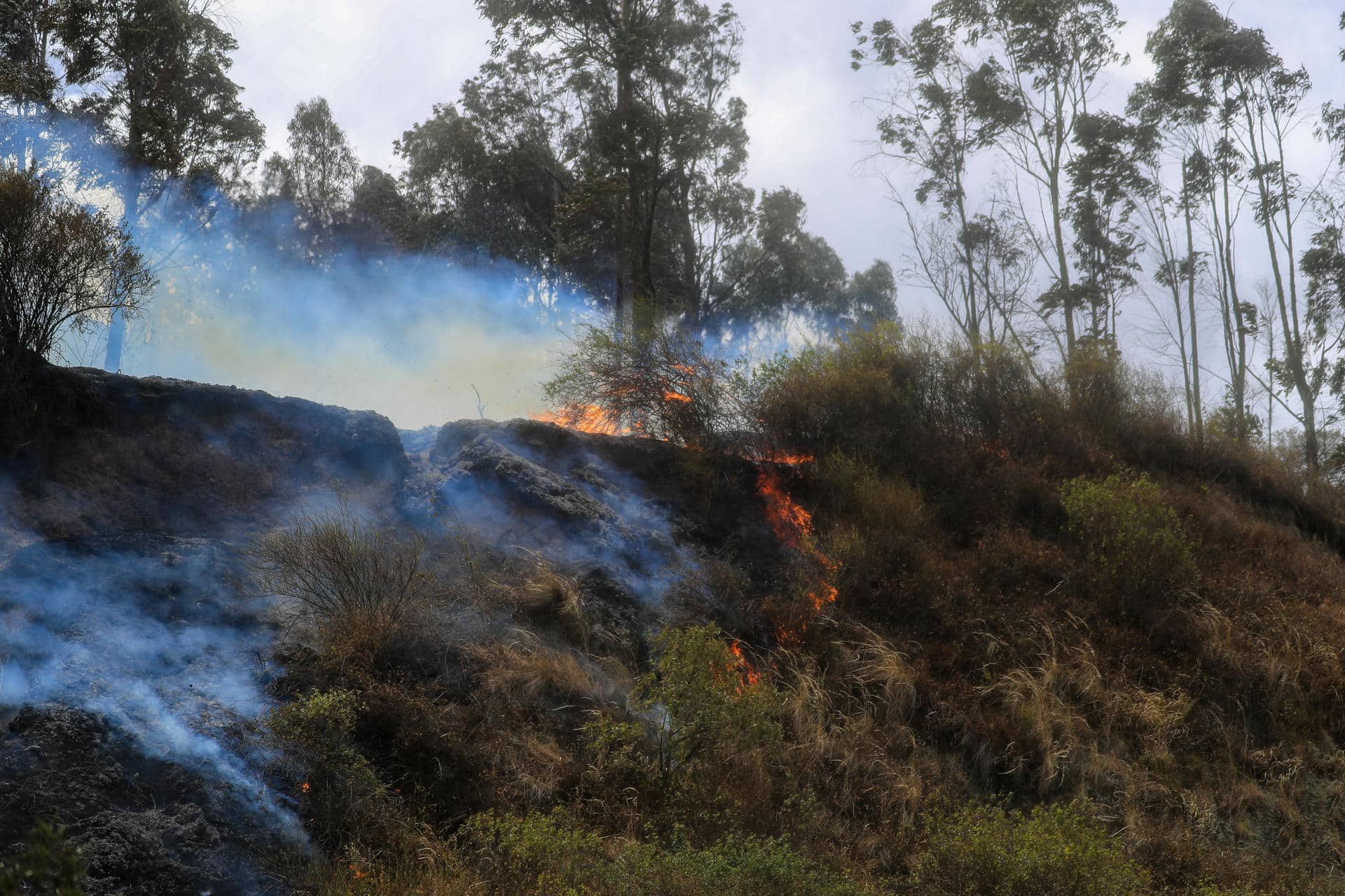 Fotografía de un incendio forestal en Quito (Ecuador). .Archivo EFE/José Jácome