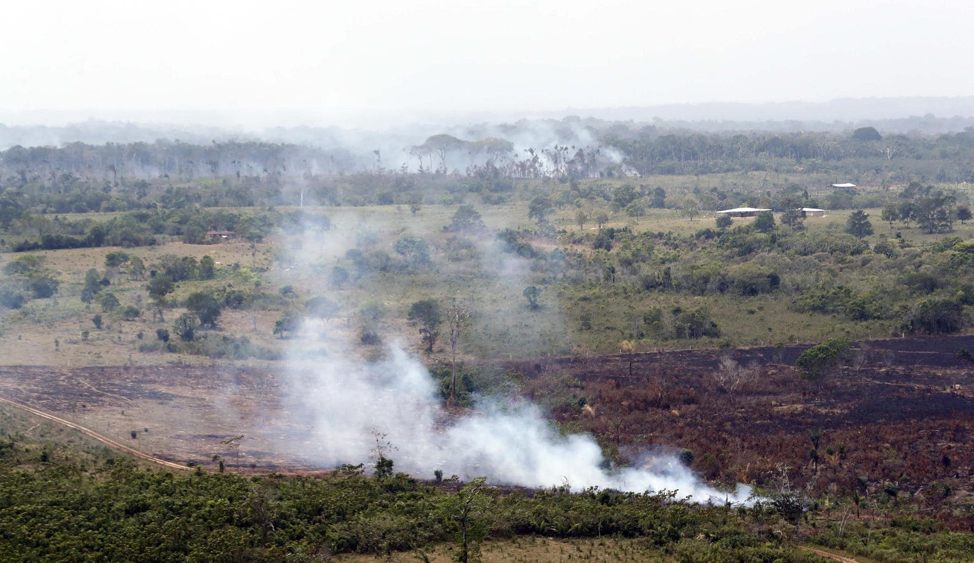 Fotografía de archivo del 22 de febrero de 2020 de una zona deforestada en el Parque Nacional Natural Tinigua, en el departamento del Meta (Colombia). EFE/ Mauricio Dueñas Castañeda