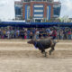 La zona rural tailandesa de Chonburi celebra este miércoles, un año más su tradicional carrera de búfalos, que este año cumple 153 años y marca el fin a más de una semana de actividades en torno a estos bóvidos, a los que se les muestra gratitud por su importante labor en el pasado en el campo. EFE/ Brian Bujalance