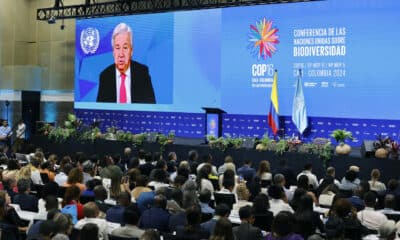 Asistentes a la inauguración de la COP16 observan el video del secretario general de Naciones Unidas, António Guterres, durante la ceremonia de inauguración de la COP16 de Biodiversidad este domingo en Cali (Colombia). EFE/Mauricio Dueñas Castañeda