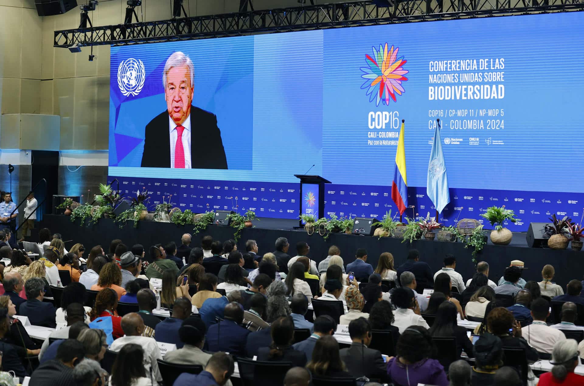 Asistentes a la inauguración de la COP16 observan el video del secretario general de Naciones Unidas, António Guterres, durante la ceremonia de inauguración de la COP16 de Biodiversidad este domingo en Cali (Colombia). EFE/Mauricio Dueñas Castañeda