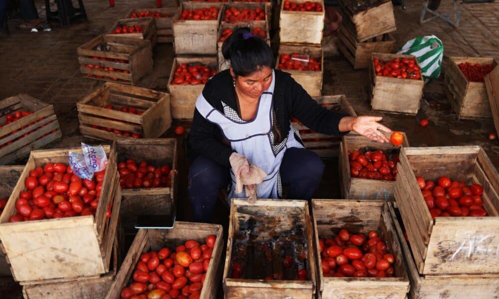 La productora Damaris Macías, de 48 años, muestra el producto que se le ha dañado en los últimos días en su punto de venta en un mercado en Cochabamba (Bolivia), situación provocada por los bloqueos. EFE/ Luis Gandarillas