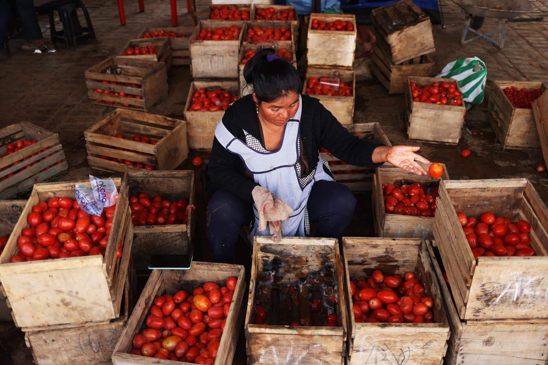 La productora Damaris Macías, de 48 años, muestra el producto que se le ha dañado en los últimos días en su punto de venta en un mercado en Cochabamba (Bolivia), situación provocada por los bloqueos. EFE/ Luis Gandarillas