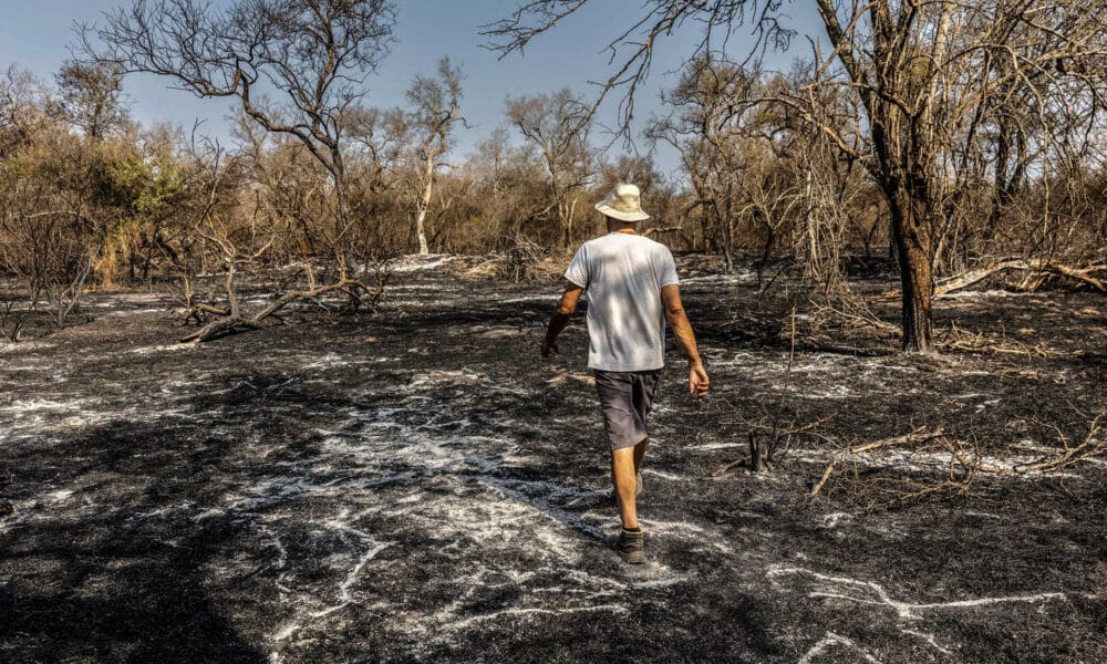 Fotografía cedida por Greenpeace de una persona caminando por una zona afectada por un incendio en la provincia del Chaco (Argentina). EFE/ Greenpeace