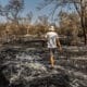 Fotografía cedida por Greenpeace de una persona caminando por una zona afectada por un incendio en la provincia del Chaco (Argentina). EFE/ Greenpeace