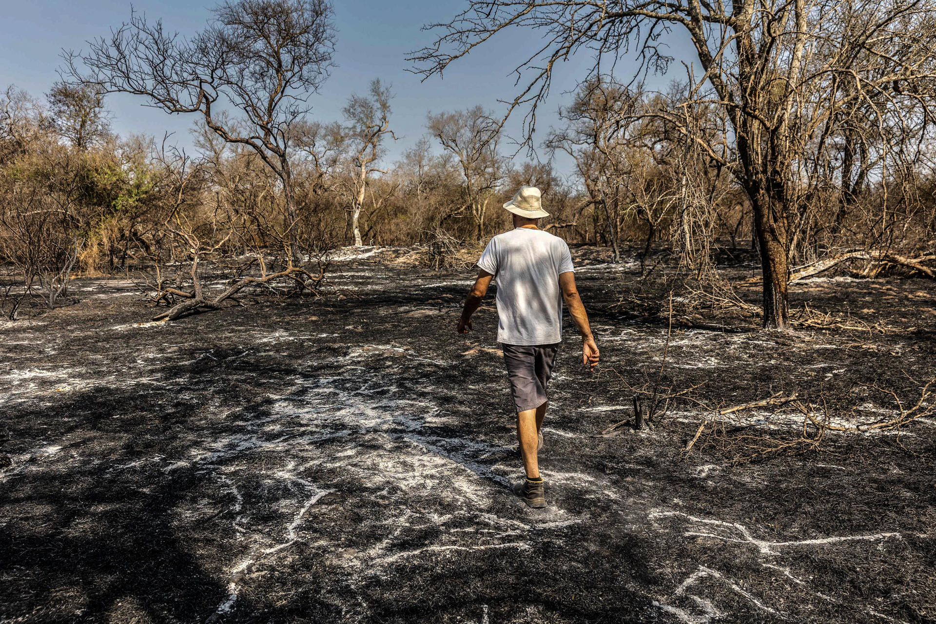 Fotografía cedida por Greenpeace de una persona caminando por una zona afectada por un incendio en la provincia del Chaco (Argentina). EFE/ Greenpeace