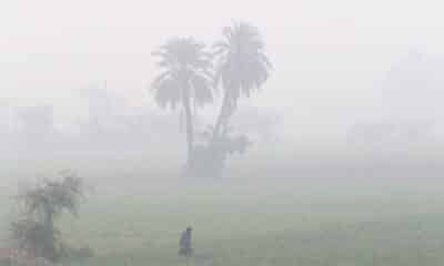 Un granjero trabaja en su finca bajo una densa nube de contaminación en Lahore (Pakistán), en una fotografía de archivo. EFE/ Rahat Dar