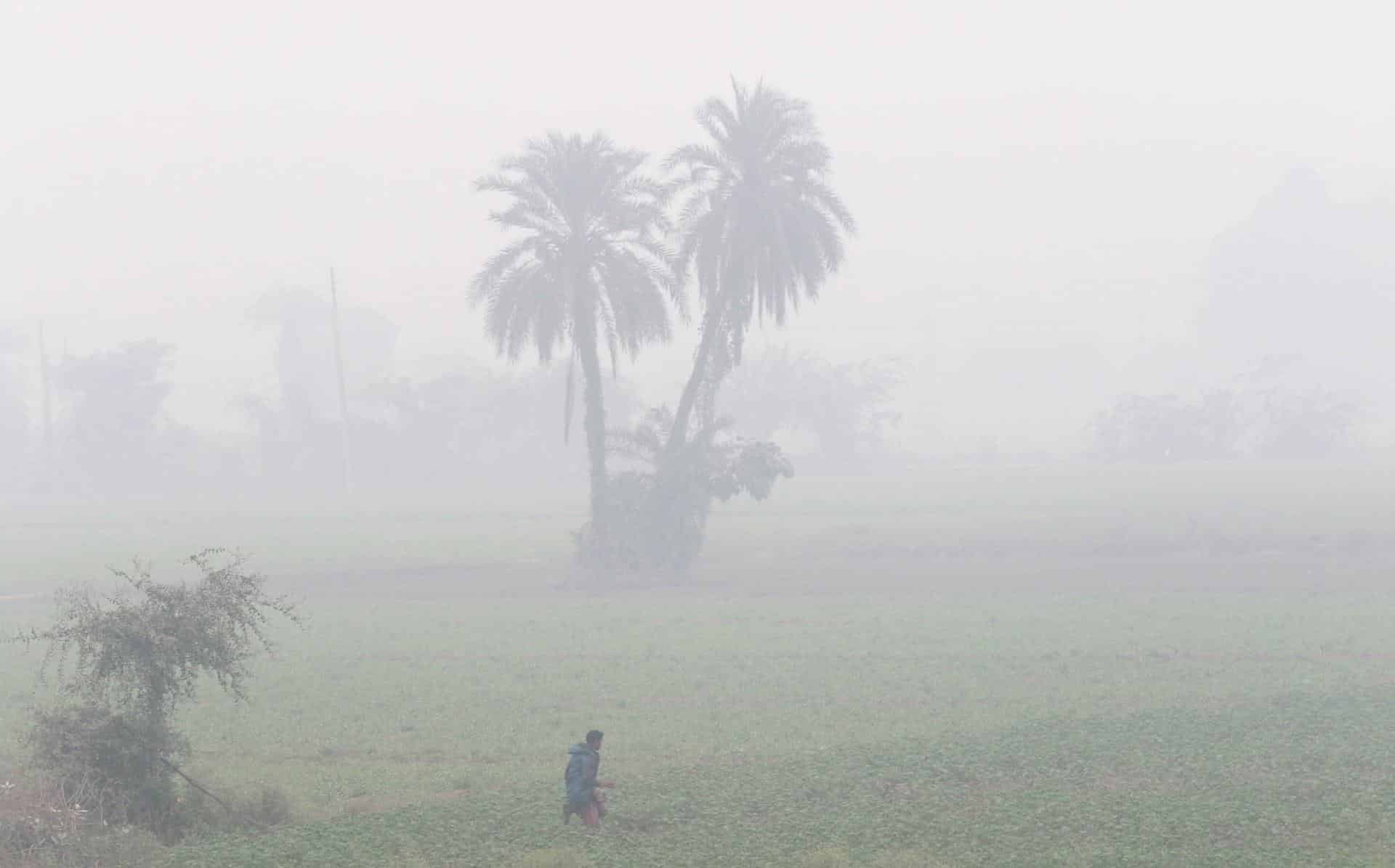 Un granjero trabaja en su finca bajo una densa nube de contaminación en Lahore (Pakistán), en una fotografía de archivo. EFE/ Rahat Dar