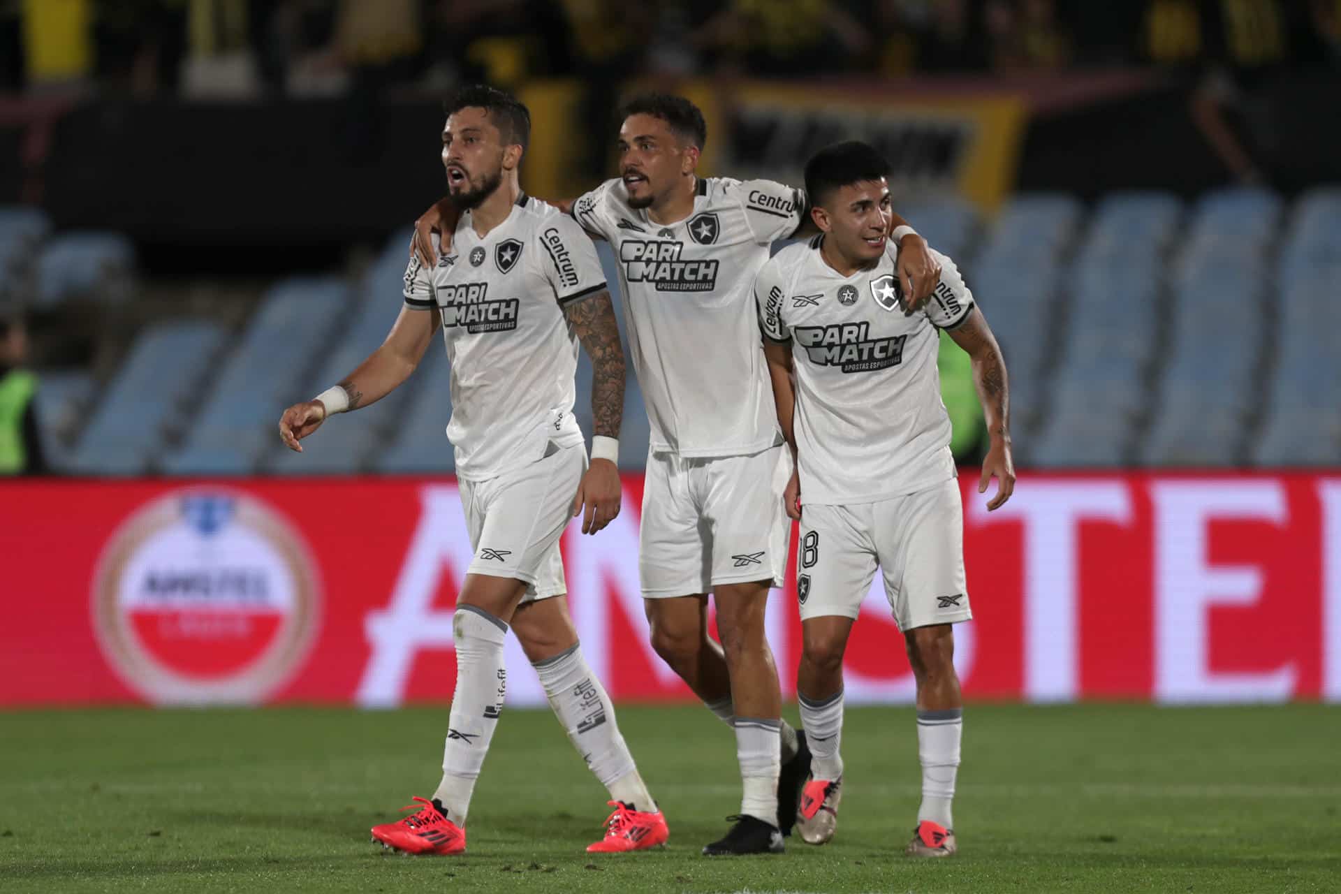 Jugadores de Botafogo celebran al término de un partido de las semifinales de la Copa Libertadores. EFE/ Sofia Torres