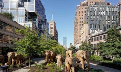 Fotografía sin fecha específica, cedida por Mark Warne, muestra la instalación de elefantes indios de la exposición 'The Great Elephant Migration', durante su inauguración en Nueva York (EE.UU.). EFE/ Mark Warne SÓLO USO EDITORIAL/SÓLO DISPONIBLE PARA ILUSTRAR LA NOTICIA QUE ACOMPAÑA (CRÉDITO OBLIGATORIO)