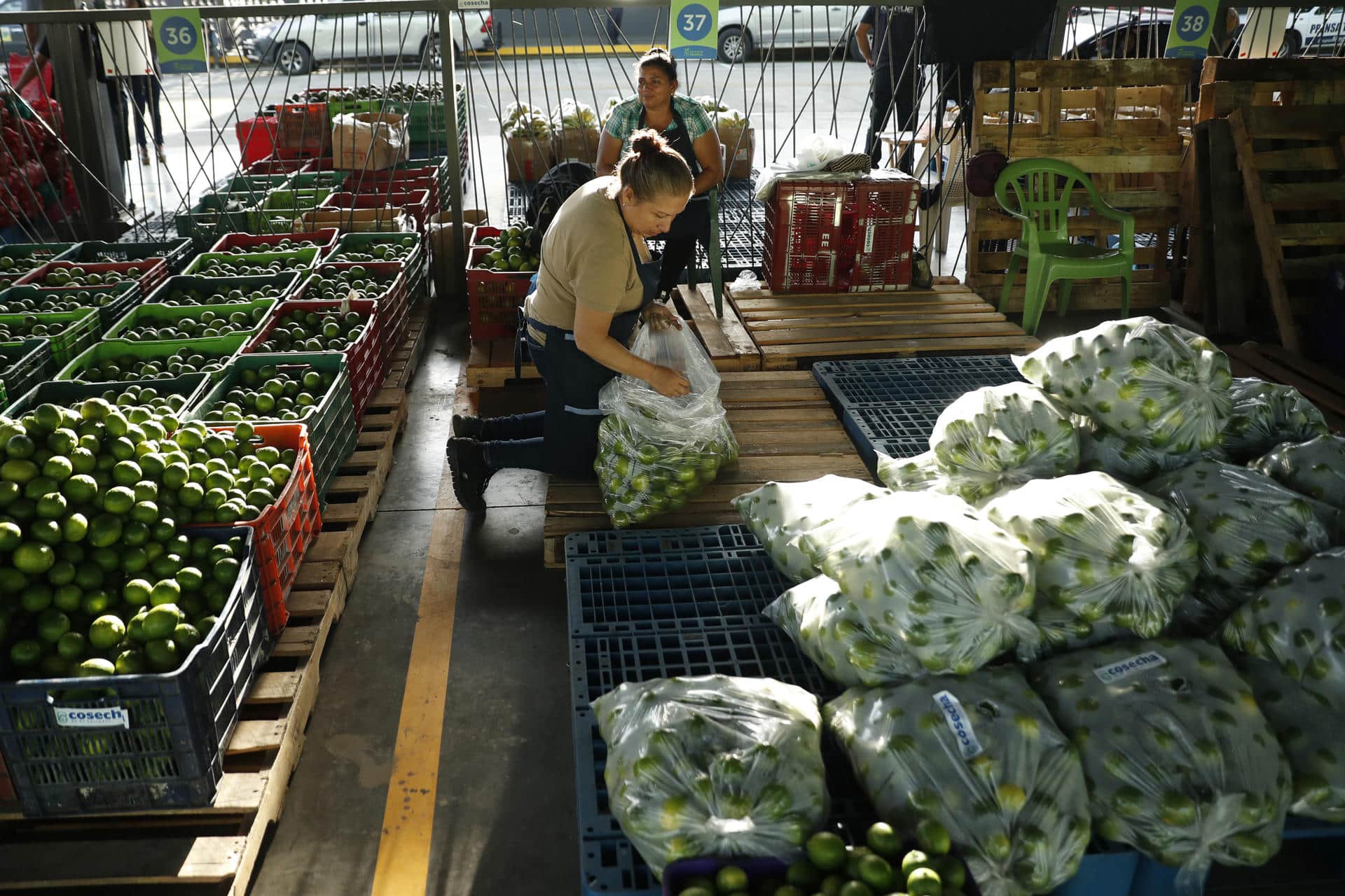 Una mujer organiza su venta de limones en una central de abastos habilitada por el Gobierno, este miércoles, en Soyapango (El Salvador). EFE/ Rodrigo Sura