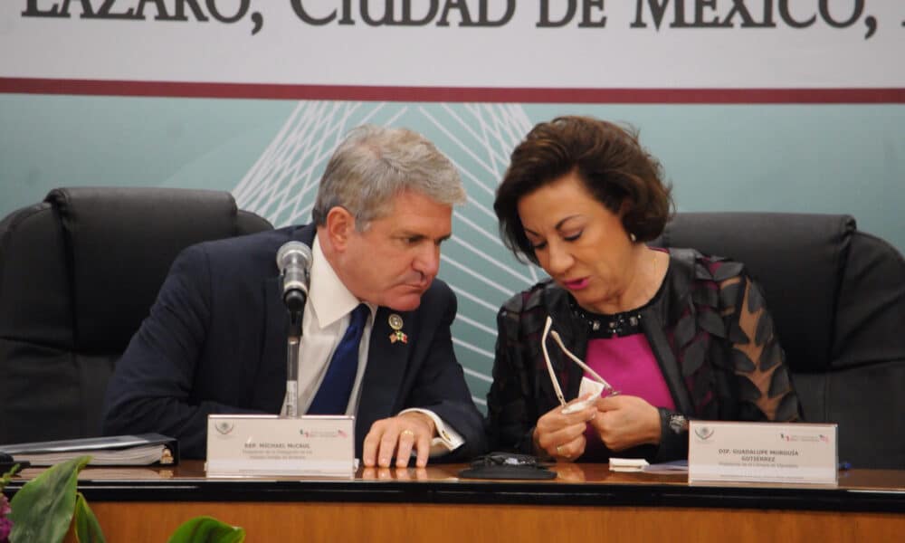 Imagen de archivo de la diputada por el Partido Acción Nacional, María Guadalupe Murguía Gutiérrez(d). EFE/STR