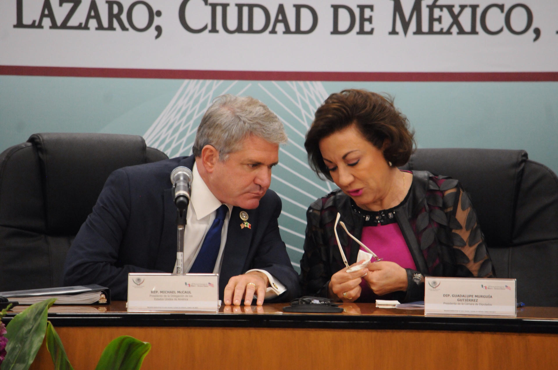 Imagen de archivo de la diputada por el Partido Acción Nacional, María Guadalupe Murguía Gutiérrez(d). EFE/STR