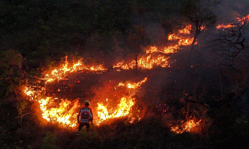 Fotografía de archivo del 24 de septiembre de 2024 de un incendio forestal en la Reserva Ecológica Contagem, en Brasilia (Brasil). EFE/ Andre Borges