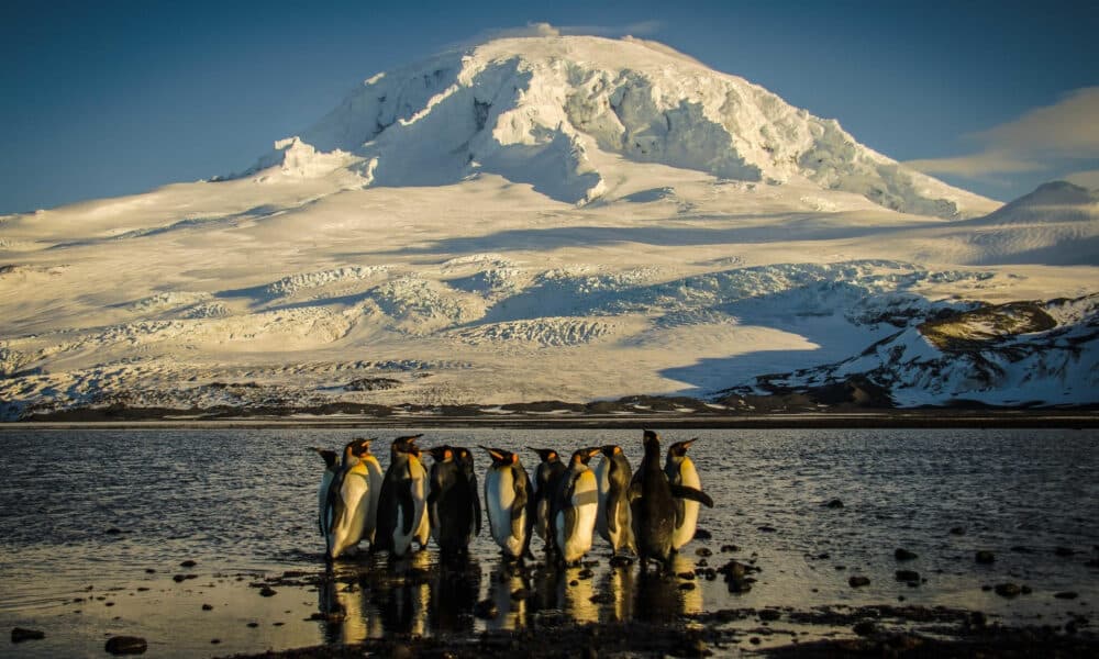 Fotografía cedida por el Ministerio del Ambiente de Australia de pingüinos emperador en la orilla de la bahía Corintian. El Gobierno australiano anunció este martes que cuadruplicó la superficie del parque marino que rodea a las islas Heard y McDonald, en la zona subantártica, a 310.000 kilómetros cuadrados, un área que supera a la que ocupa Italia. EFE/ Matt Curnock /Ministerio del Ambiente de Australia/SOLO USO EDITORIAL/SOLO DISPONIBLE PARA ILUSTRAR LA NOTICIA QUE ACOMPAÑA (CRÉDITO OBLIGATORIO)