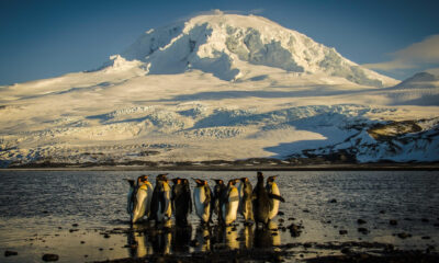 Fotografía cedida por el Ministerio del Ambiente de Australia de pingüinos emperador en la orilla de la bahía Corintian. El Gobierno australiano anunció este martes que cuadruplicó la superficie del parque marino que rodea a las islas Heard y McDonald, en la zona subantártica, a 310.000 kilómetros cuadrados, un área que supera a la que ocupa Italia. EFE/ Matt Curnock /Ministerio del Ambiente de Australia/SOLO USO EDITORIAL/SOLO DISPONIBLE PARA ILUSTRAR LA NOTICIA QUE ACOMPAÑA (CRÉDITO OBLIGATORIO)