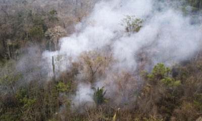 Fotografía aérea de archivo que muestra un área con incendios en el Parque Estatal Guajará Mirim en la ciudad de Nova Mamoré (Brasil). EFE/ Isaac Fontana