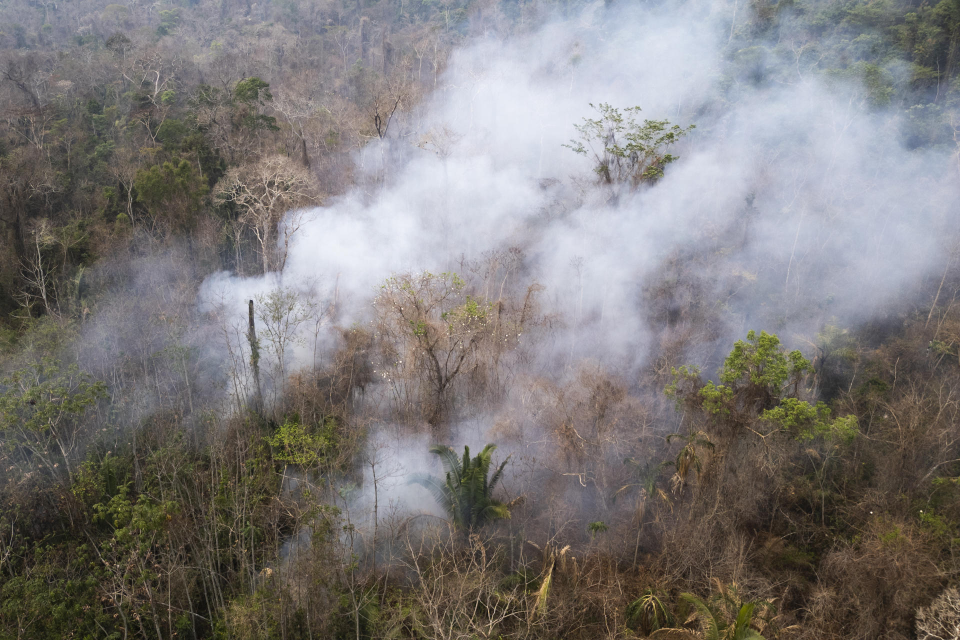 Fotografía aérea de archivo que muestra un área con incendios en el Parque Estatal Guajará Mirim en la ciudad de Nova Mamoré (Brasil). EFE/ Isaac Fontana