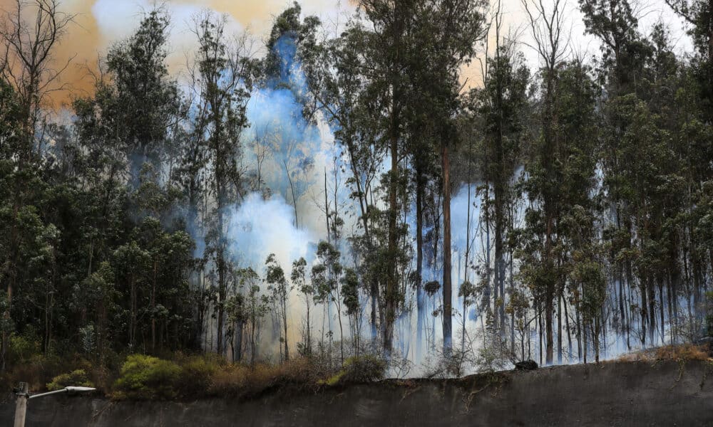 Fotografía de archivo de un incendio forestal en Quito (Ecuador). EFE/José Jácome